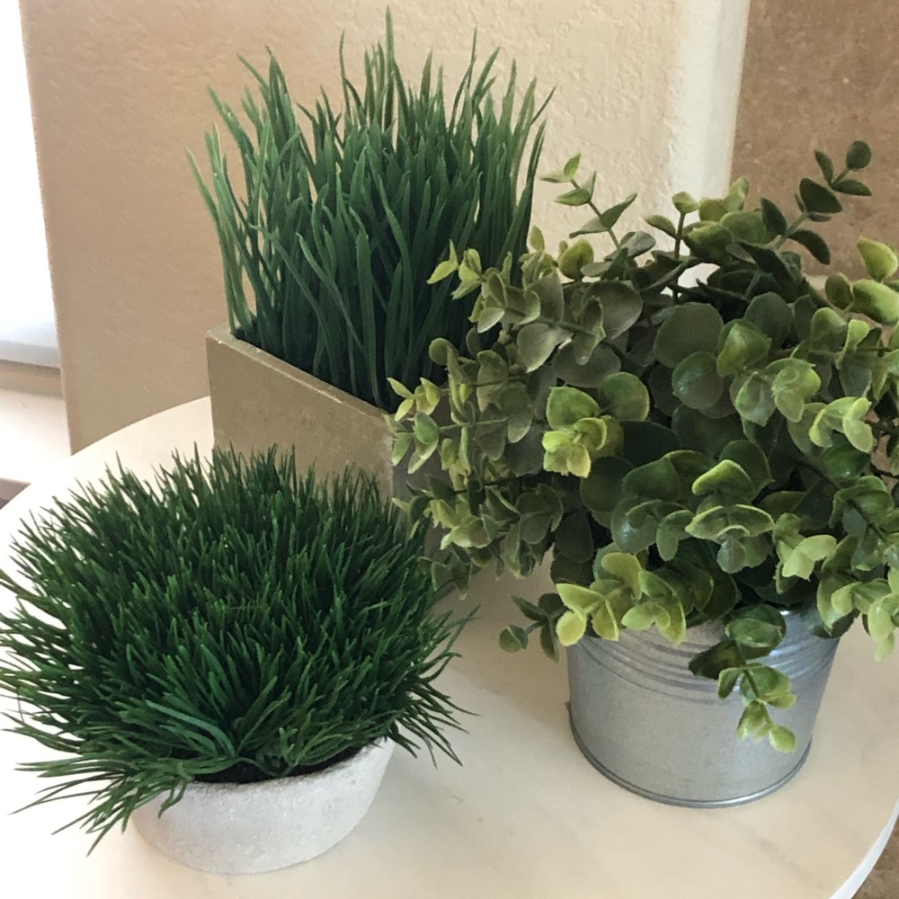 3 faux, little plants